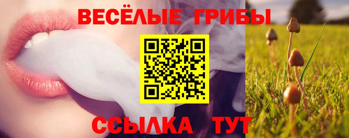 Улан-Удэ  Галлюциногенные грибы Magic Shrooms  Вход с VPN  Псилоцибиновые грибы ЛСД 